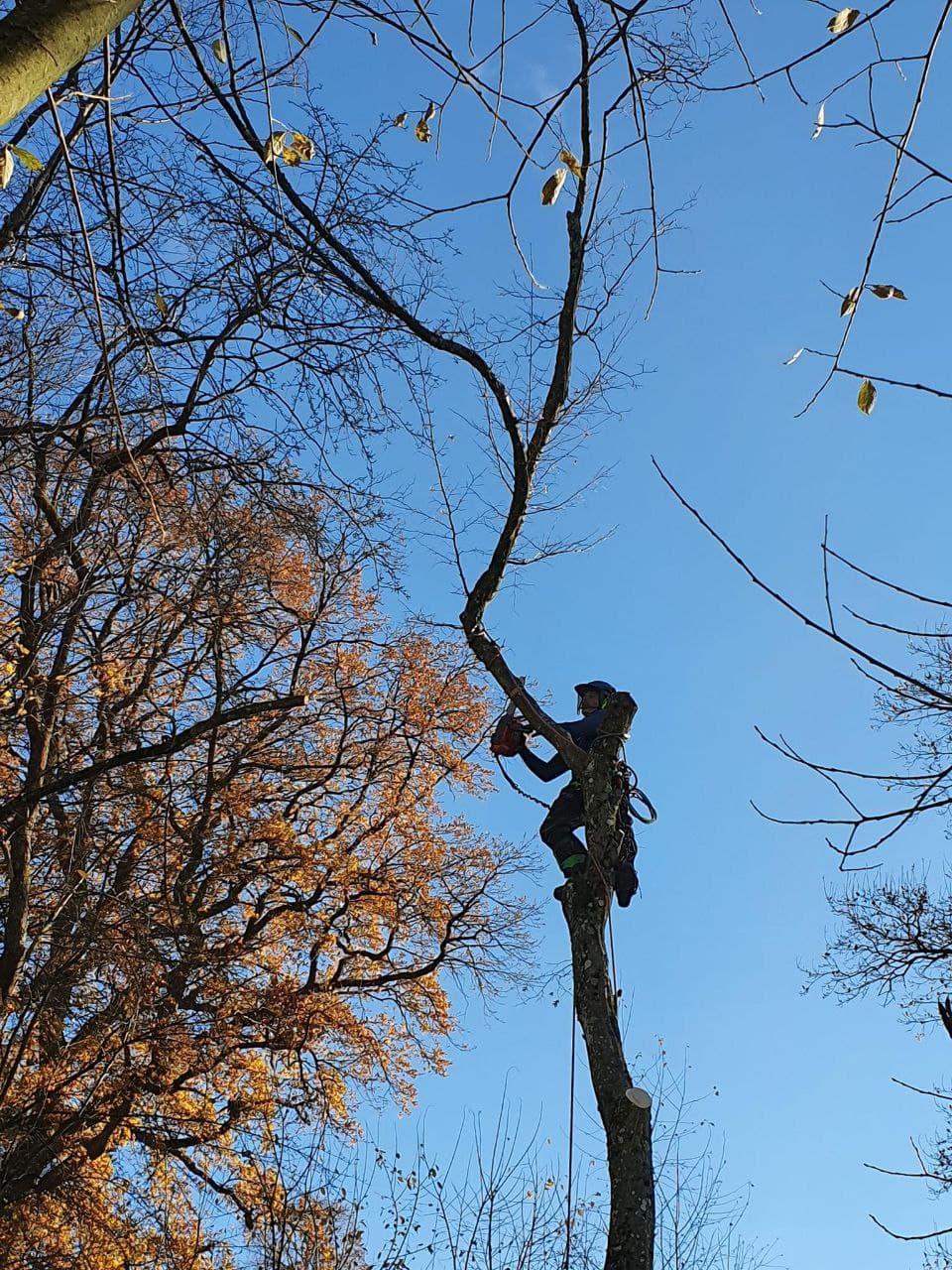 Baum Service Tim Perrin