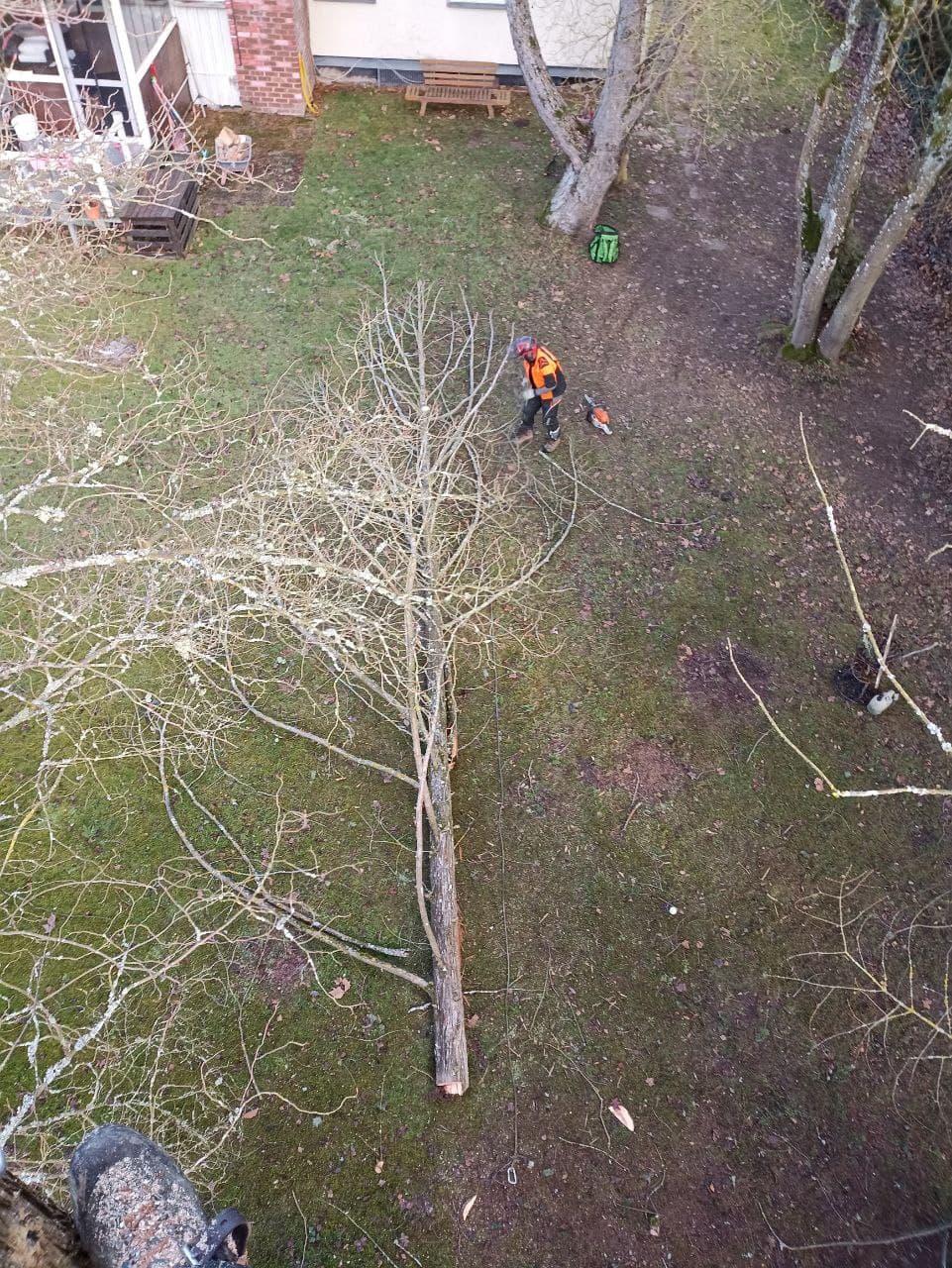 Baum Service Tim Perrin