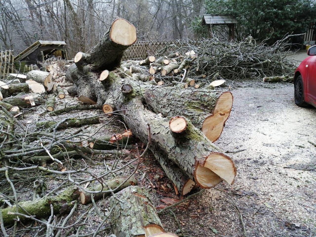 photo_2022-01-25_20-44-47